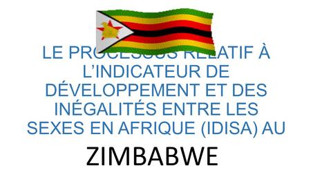 LE PROCESSUS RELATIF À L’INDICATEUR DE DÉVELOPPEMENT ET DES INÉGALITÉS ENTRE LES SEXES EN AFRIQUE (IDISA) AU ZIMBABWE.