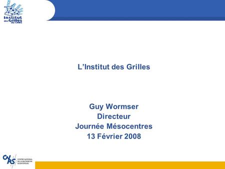 L’Institut des Grilles Guy Wormser Directeur Journée Mésocentres 13 Février 2008.