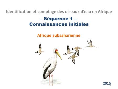 – Séquence 1 – Connaissances initiales Afrique subsaharienne Identification et comptage des oiseaux d’eau en Afrique 1 2015.