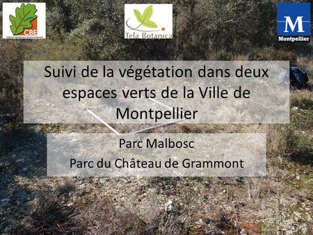 Suivi de la végétation dans deux espaces verts de la Ville de Montpellier Parc Malbosc Parc du Château de Grammont.