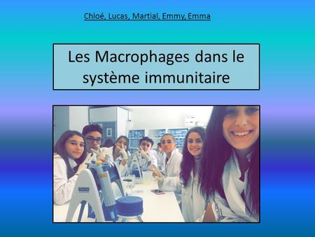 Les Macrophages dans le système immunitaire