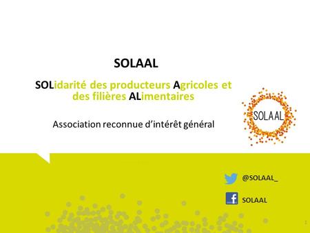 SOLAAL SOLidarité des producteurs Agricoles et des filières ALimentaires Association reconnue d’intérêt général créée le 28 mai 2013 SOLAAL.