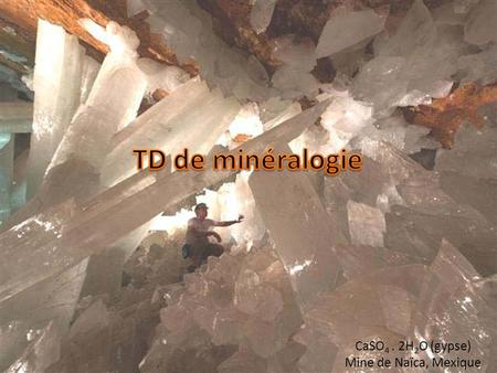 CaSO 4. 2H 2 O (gypse) Mine de Naïca, Mexique. Exercice 1 : Réactions minéralogiques et bilans chimiques Anorthite Albite.
