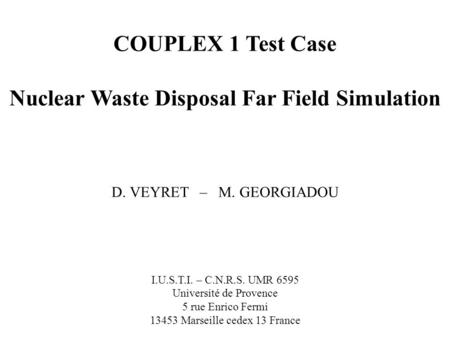 COUPLEX 1 Test Case Nuclear Waste Disposal Far Field Simulation D. VEYRET – M. GEORGIADOU I.U.S.T.I. – C.N.R.S. UMR 6595 Université de Provence 5 rue Enrico.