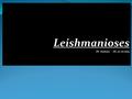 Leishmanioses Dr Amiour. LE. 22 /11/2015