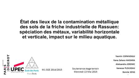 État des lieux de la contamination métallique des sols de la friche industrielle de Rassuen: spéciation des métaux, variabilité horizontale et verticale,