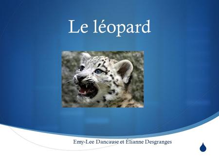  Le léopard Emy-Lee Dancause et Élianne Desgranges.