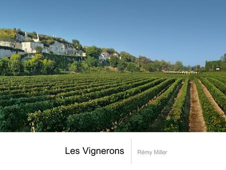 Les Vignerons Rémy Miller. Le Formation Aucune exigence éducative essentielle Prendre des cours de viticulture et oenologie Ont un sens développé du goût.
