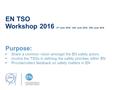 EN TSO Workshop 2016 2 nd June 2016; 14th June 2016; 30th June 2016 Purpose: Share a common vision amongst the EN safety actors Involve the TSOs in defining.