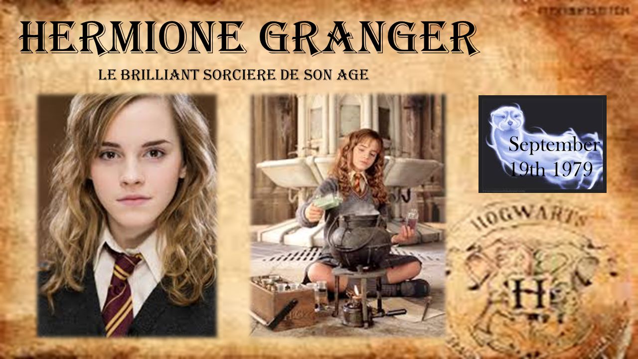 Biographie de l'incroyable Hermione Granger - La Boutique du Sorcier