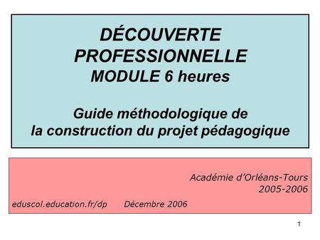 DÉCOUVERTE PROFESSIONNELLE MODULE 6 heures Guide méthodologique de la construction du projet pédagogique Académie d’Orléans-Tours 2005-2006 eduscol.education.fr/dp.