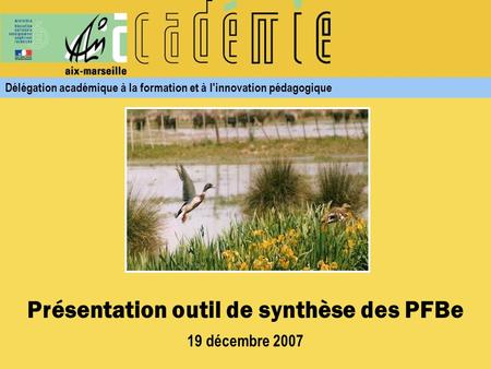 Présentation outil de synthèse des PFBe 19 décembre 2007 Délégation académique à la formation et à l'innovation pédagogique.