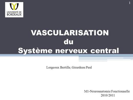 VASCULARISATION du Système nerveux central