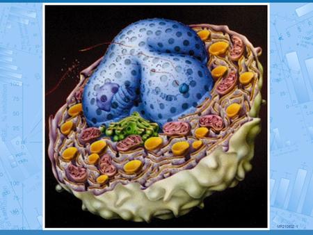 Biologie Cellulaire 1. Les membranes 2. La surface cellulaire