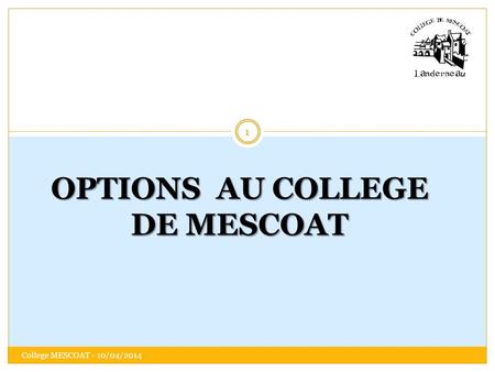 OPTIONS AU COLLEGE DE MESCOAT