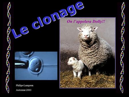 Le clonage On l’appelera Dolly!! Philipe Lampron Automne 2003.