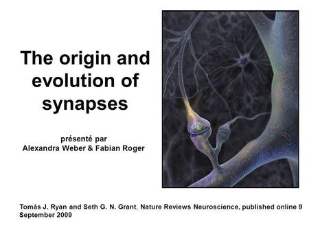 The origin and evolution of synapses