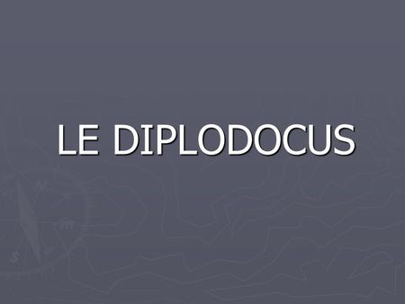 LE DIPLODOCUS.
