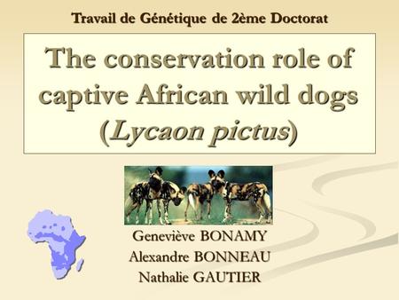 The conservation role of captive African wild dogs (Lycaon pictus)