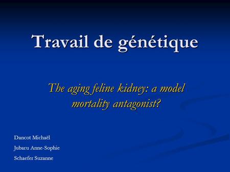The aging feline kidney: a model mortality antagonist?