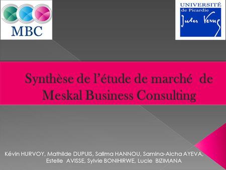 Synthèse de l’étude de marché de Meskal Business Consulting