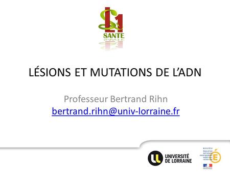 LÉSIONS ET MUTATIONS DE L’ADN