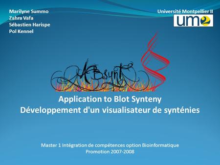 Application to Blot Synteny