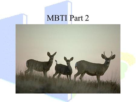 MBTI Part 2.