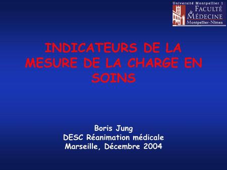 INDICATEURS DE LA MESURE DE LA CHARGE EN SOINS