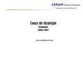 Cours de Stratégie Séminaire 2006-2007 Michel BERNASCONI.