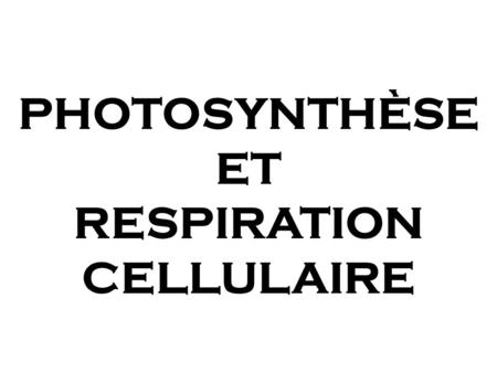 PHOTOSYNTHÈSE ET RESPIRATION CELLULAIRE. La photosynthèse et la respiration cellulaire 2 fonctions vitales de la cellule p.284, 288, 289.