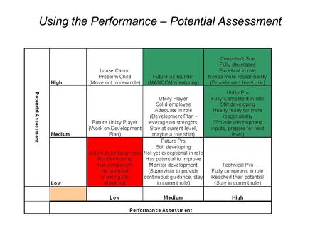 Using the Performance – Potential Assessment.