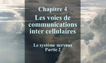 Chapitre 4 Les voies de communications inter cellulaires Le système nerveux Partie 2.