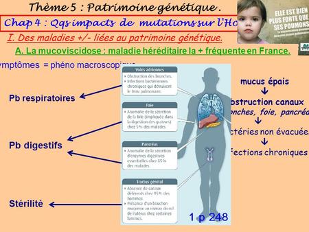 Thème 5 : Patrimoine génétique. Chap 4 : Qqs impacts de mutations sur l'Homme. I. Des maladies +/- liées au patrimoine génétique. Q1. Symptômes = phéno.