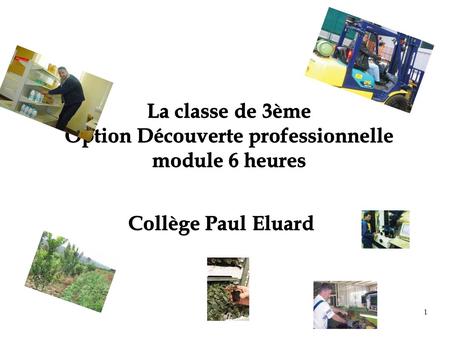 1 La classe de 3ème Option Découverte professionnelle module 6 heures Collège Paul Eluard.
