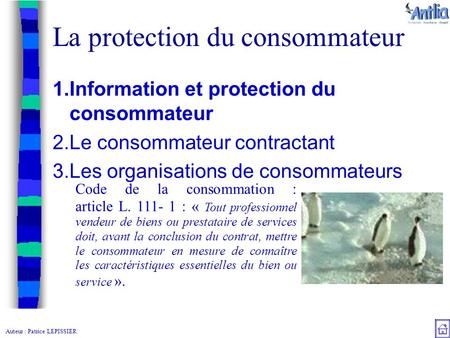 Auteur : Patrice LEPISSIER La protection du consommateur  Information et protection du consommateur  Le consommateur contractant  Les organisations.