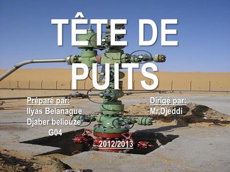 TÊTE DE PUITS Préparé par: Ilyas Belanague Djaber beliouze G04 Dirigé par: Mr,Djeddi 2012/2013.