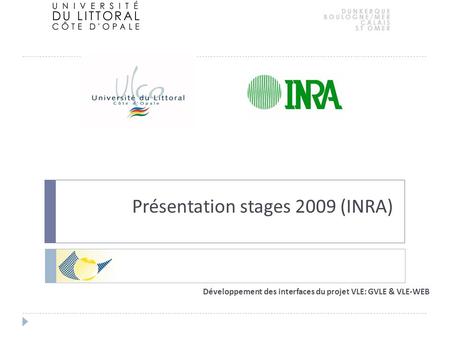 Présentation stages 2009 (INRA) Développement des interfaces du projet VLE: GVLE & VLE-WEB.