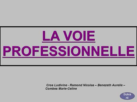 LA VOIE PROFESSIONNELLE Cros Ludivine - Ramond Nicolas – Benezeth Aurelie – Combes Marie-Celine Suiva nt.