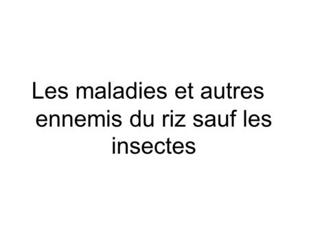 Les maladies et autres ennemis du riz sauf les insectes.