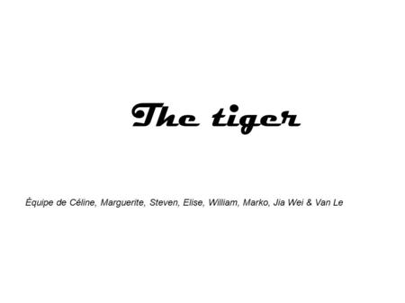 The tiger Équipe de Céline, Marguerite, Steven, Elise, William, Marko, Jia Wei & Van Le.
