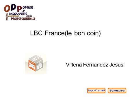 LBC France(le bon coin) Villena Fernandez Jesus. Sommaire du diaporama ● Présentation générale de l'organisation Présentation générale de l'organisation.