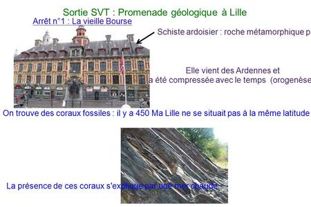 Sortie SVT : Promenade géologique à Lille Arrêt n°1 : La vieille Bourse Elle vient des Ardennes et a été compressée avec le temps (orogenèse). On trouve.