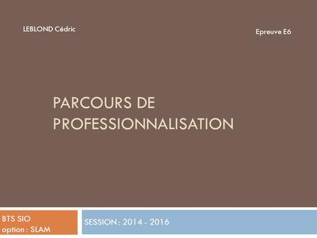 PARCOURS DE PROFESSIONNALISATION SESSION : 2014 - 2016 LEBLOND Cédric Epreuve E6 BTS SIO option : SLAM.