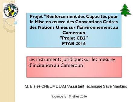 Les instruments juridiques sur les mesures d’incitation au Cameroun Yaoundé le 19 Juillet 2016 Projet Renforcement des Capacités pour la Mise en œuvre.