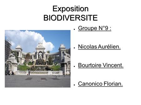 Exposition BIODIVERSITE ● Groupe N°9 : ● Nicolas Aurélien. ● Bourtoire Vincent. ● Canonico Florian.