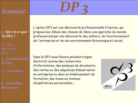 Sommaire: 1 - Qu'est ce que la DP3 ? 2 – Que fait-on en DP3 DP 3 3 – Calendrier de la DP3 4 – Les visites 5 – Exemples de travaux L'option DP3 est une.