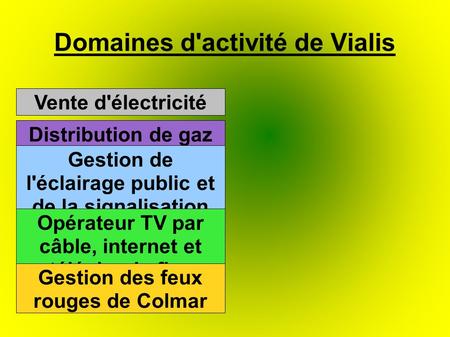 Domaines d'activité de Vialis Vente d'électricité Distribution de gaz de ville Gestion de l'éclairage public et de la signalisation routière Opérateur.