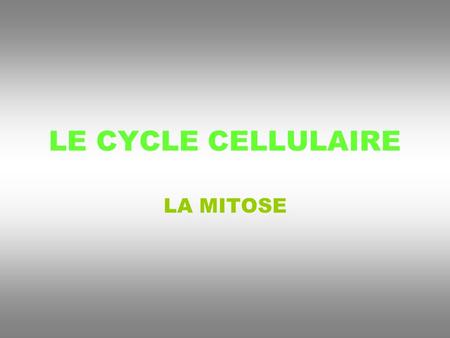 LE CYCLE CELLULAIRE LA MITOSE.