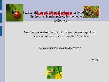 Les insectes Il existe plusieurs familles d'insectes : les lépidoptères, les diptères, les hyménoptères, les homoptères et les coléoptères. Nous avons.